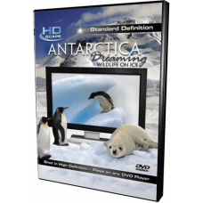 HD Окно: Антарктика - Дикая Жизнь На Льду [Blu-Ray]