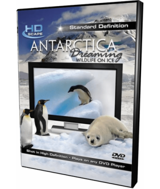 HD Вікно: Антарктика - Дике Життя На Льоду [Blu-Ray]