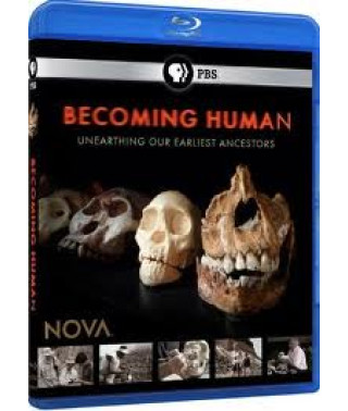 PBS. NOVA: Становление человека [Blu-ray]