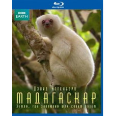 BBC: Мадагаскар: Земля, де еволюція йшла своїм шляхом [2 Blu-Ray]