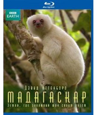 BBC: Мадагаскар: Земля, где эволюция шла своим путём [2 Blu-Ray]