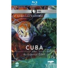 Куба. Випадковий рай [Blu-ray]