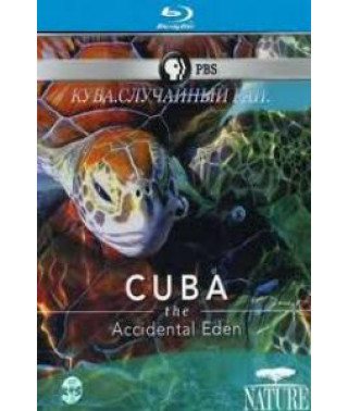Куба. Случайный рай [Blu-ray]