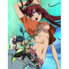 Эйр Гир OVA [1 DVD]