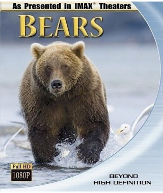 Медведи [Blu-ray]