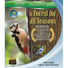 Дикая Азия: Лес на все времена [Blu-Ray]