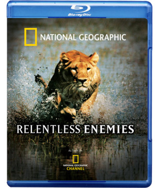 Ruthless Enemies (Irreconcilable Enemies) [Blu-Ray]