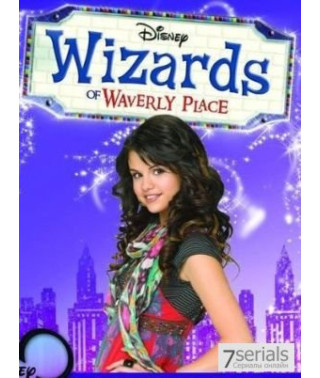 Wizards of Waverly (Waverly) Place (Seasons 1-4) [4 DVDs]