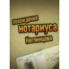 Пригоди нотаріуса Неглінцева [1 DVD]
