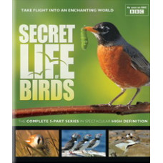 The Secret Life of Birds [Blu-Ray]