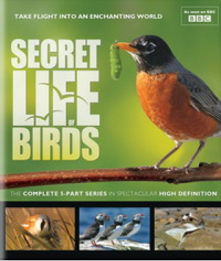 Таємне життя птахів [Blu-Ray]
