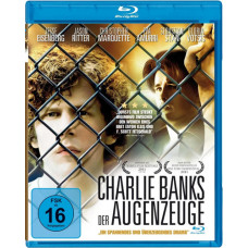 Образование Чарли Бэнкса [Blu-ray]