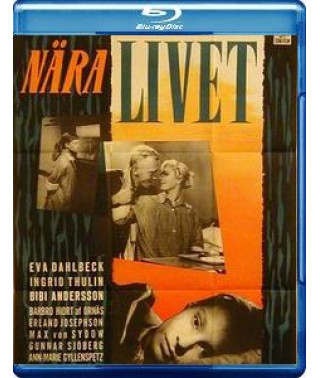 At the Origins of Life [Blu-ray]