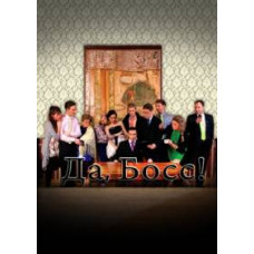 Да, Босс! [1 DVD]