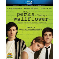 It's Good to Be a Wallflower [Blu-ray]