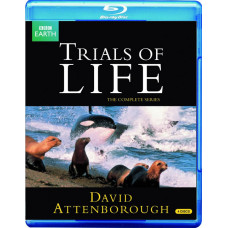 Борьба за выживание [Blu-ray] {4 Disc s Edition}