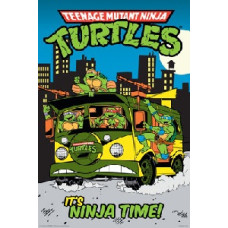 Teenage Mutant Ninja Turtles (9 seasons) [7 DVDs]