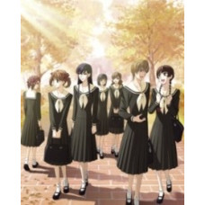 Дева Мария смотрит за вами (1-5 сезоны) [1 DVD]