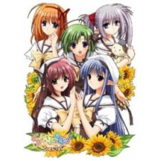 Шафл!, Путаница [1 DVD]
