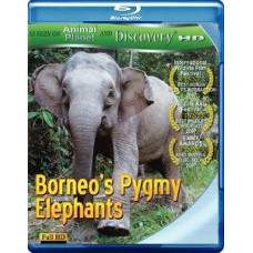 Слоны-пигмеи острова Борнео [Blu-ray]