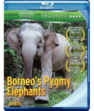 Слони-пігмеї острова Борнео [Blu-ray]