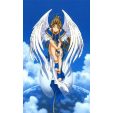 Моя богиня! OVA [1 DVD]