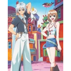 Рэйв Мастер [2 DVD]