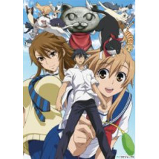 Кошачьи прихоти! (Мяу-любовь!) [1 DVD]