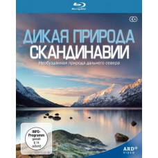 Дика природа Скандинавії [2 Blu-ray]