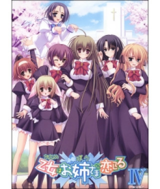 Девушка влюбилась в старшую сестру [1 DVD]