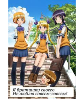 Я братишку своего не люблю совсем-совсем [1 DVD]