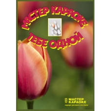 Karaoke master. For you alone [DVD]