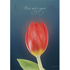 Майстер караоке. Для тебе однієї (Диск 2) [DVD]