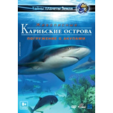 Карибские острова : Погружение с акулами [Blu-ray]