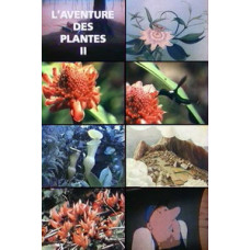 Miracles of Plants [1 DVD]