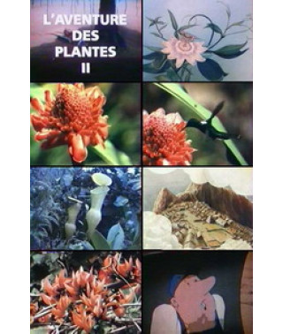 Miracles of Plants [1 DVD]