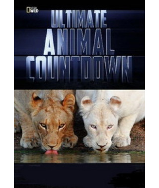 Record-Breaking Animals [1 DVD]