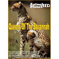 Queens of the Savannah [1 DVD]