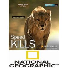 Killer Speed [1 DVD]