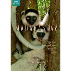 Мадагаскар: Земля, где эволюция шла своим путём [1 DVD]