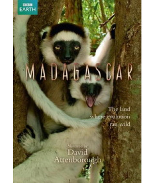 Мадагаскар: Земля, де еволюція йшла своїм шляхом [1 DVD]