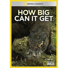 Гіганти світу тварин [1 DVD]