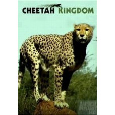 Царство гепардів [1 DVD]