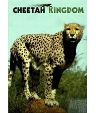 Царство гепардів [1 DVD]