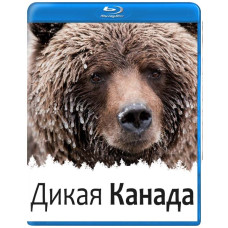 Дикая Канада [Blu-ray]