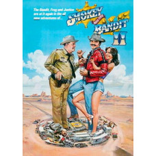 Смоки и Бандит 2 [DVD]
