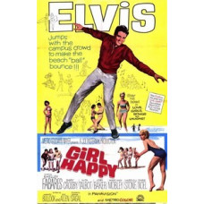 Щасливі з дівчиною [DVD]