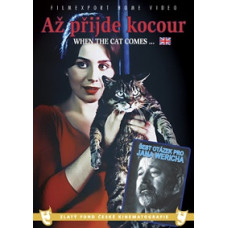Ось прийде кіт [DVD]