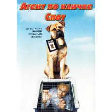 Агент по кличке Спот [DVD]