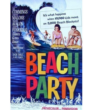 Пляжні вечірки (Пляжні тусовщики) [DVD]